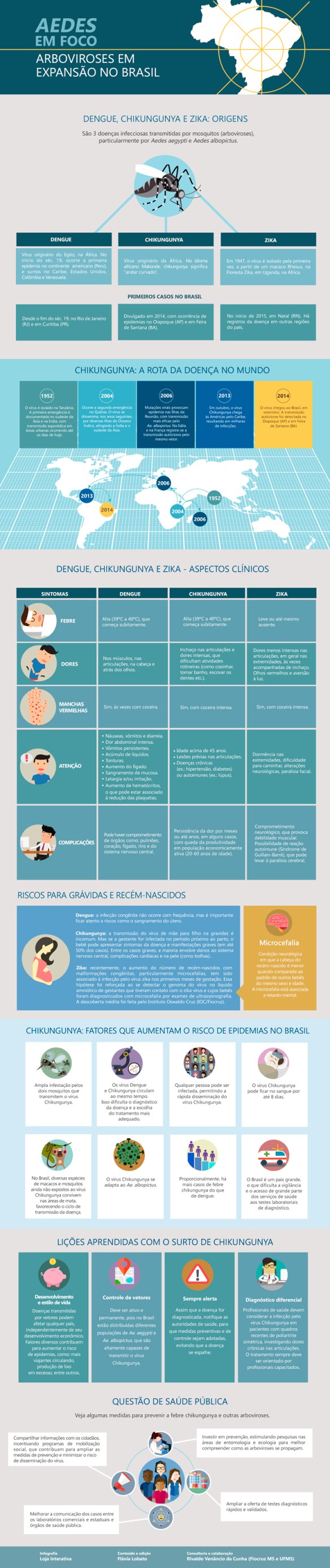 infografico_730px_site